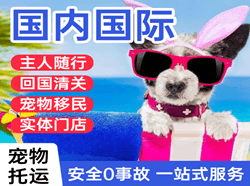 阳江合山机场快递国际宠物托运 【国